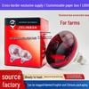 Reptile – Terarii pentru reptile