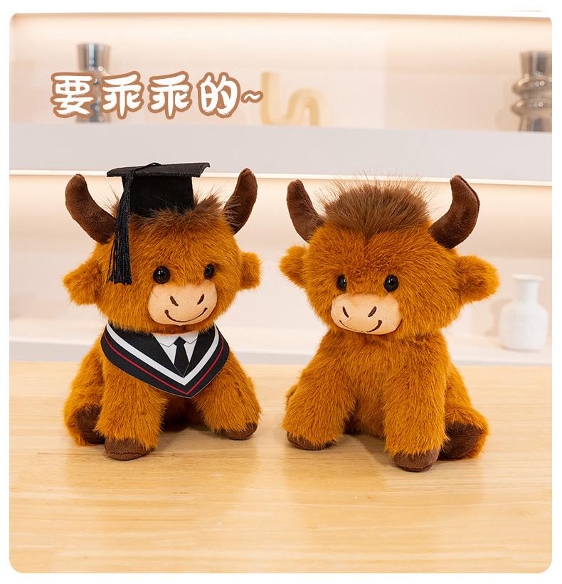Cute Scottish Highland Cattle Doctor Hat Cattle Graduation Season Gift Celebrating Graduation Gift for Kids and Friends