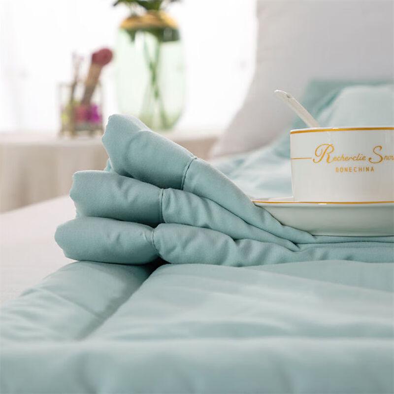 Mugwort Mosquito Repellent Summer Quilt