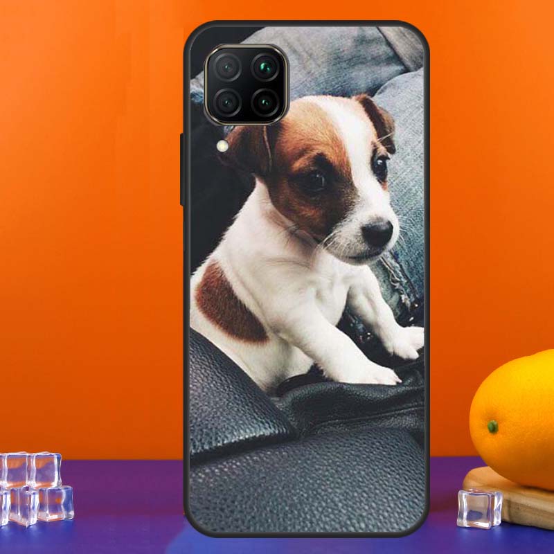 Jack Russell Terrier Dog For Huawei Nova Y90 Y91 Y60 Y70 Y72 Y61 9 10 SE 12i 12s 11i 5T P60 Pro P20 P30 P40 Lite Case