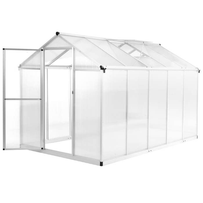 VidaXL Serre Aluminium 302x190x195 cm Serre de Jardin Légume Plante Jardinage 45215