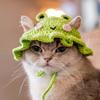 1PC Frog Knitted Pet Hat Adorable Cartoon Cat Cap For Small Dogs Cats Handmade Knit Headgear Cozy Stylish Pet Accessory Soft Warm Winter Photo