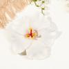 Fashion Bohemian Hibiscus Hair Clip for Women Hawaiian Flower Hairclip Girls Side Bangs Clip Beach Resort Egg Flower Hairpin