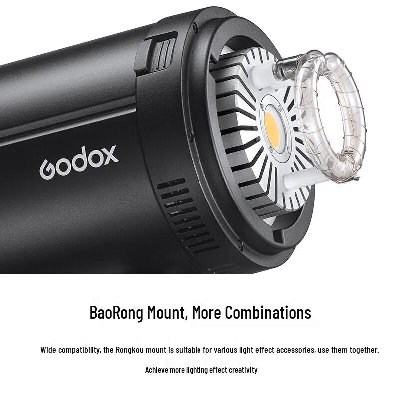 Godox DP800IIIV Studio Flash Kit with LED Modeling Light