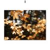 Maple Leaf Canvas Picture Paintings for Living Room Frameless Wall Art Prints Moutain Landscape Posters Modern Home Deocr No Frame