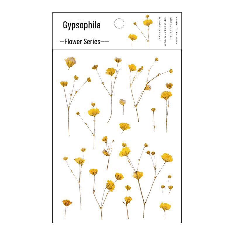 

Мистер. Наклейки из бумаги PET с цветами: Свежие цветочные рисунки чернилами для самостоятельного декора