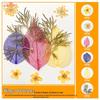 Handmade Pressed Flower Bookmark and Epoxy Sticker Pack with Real Leaf and Plant Specimens for DIY Face Makeup.