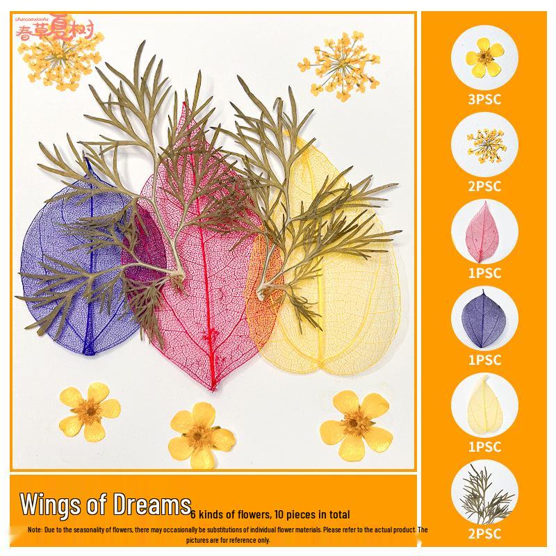 Handmade Pressed Flower Bookmark and Epoxy Sticker Pack with Real Leaf and Plant Specimens for DIY Face Makeup.