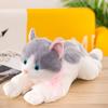 Имитация Музыкальная Вечеринка Кот Плюшевая Игрушка Храмовая Ярмарка Кольца Украшения для Девочек Офисные Куклы Будут Называться Полосатыми Котами