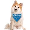Adopt Me I'm a Foster Dog Bandana, Adopted Puppy Bandana Baby Dog Announcement Tie on Scarf, Blue Dogs Bandanas, Pet Scarf Accessories for Small