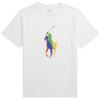 Polo T-Shirt Colorful Logo Print Crew Neck Straight Cut Short Sleeve Kids Tops White 323925614-001