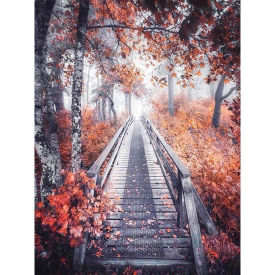 

Huacan 5D Алмазна Вишивка Продаж Пейзаж Картинки зі Стразами Алмазна Картина Повний Квадрат Ліс Вишивка Хрестом 40*50 cm