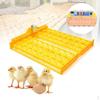 3pcs/set 220V 56-Egg Incubator Turner Tray