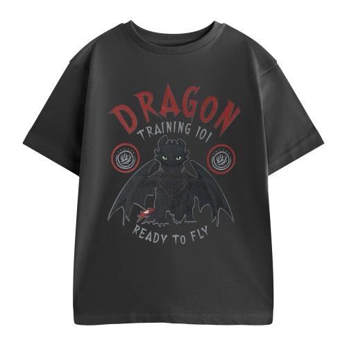 How To Train Your Dragon Boys Training 101 Short-Sleeved T-Shirt
