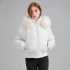 Navy blue design sense hooded fur collar cotton clothes women's winter new short cotton-padded clothes bread clothes jacket