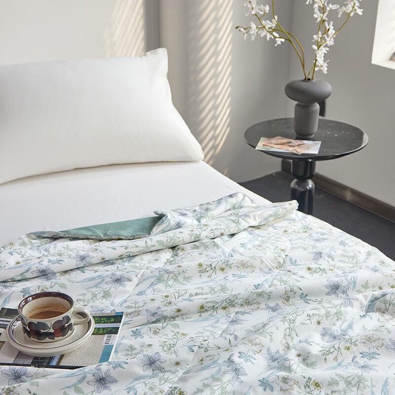 

Taihu Snow Tussah Silk & Cooling Fiber Summer Quilt