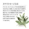 Kameyama Joka White Sage, Approx. 70g, Approx. 170 Sticks, Incense, Purification, Relaxation