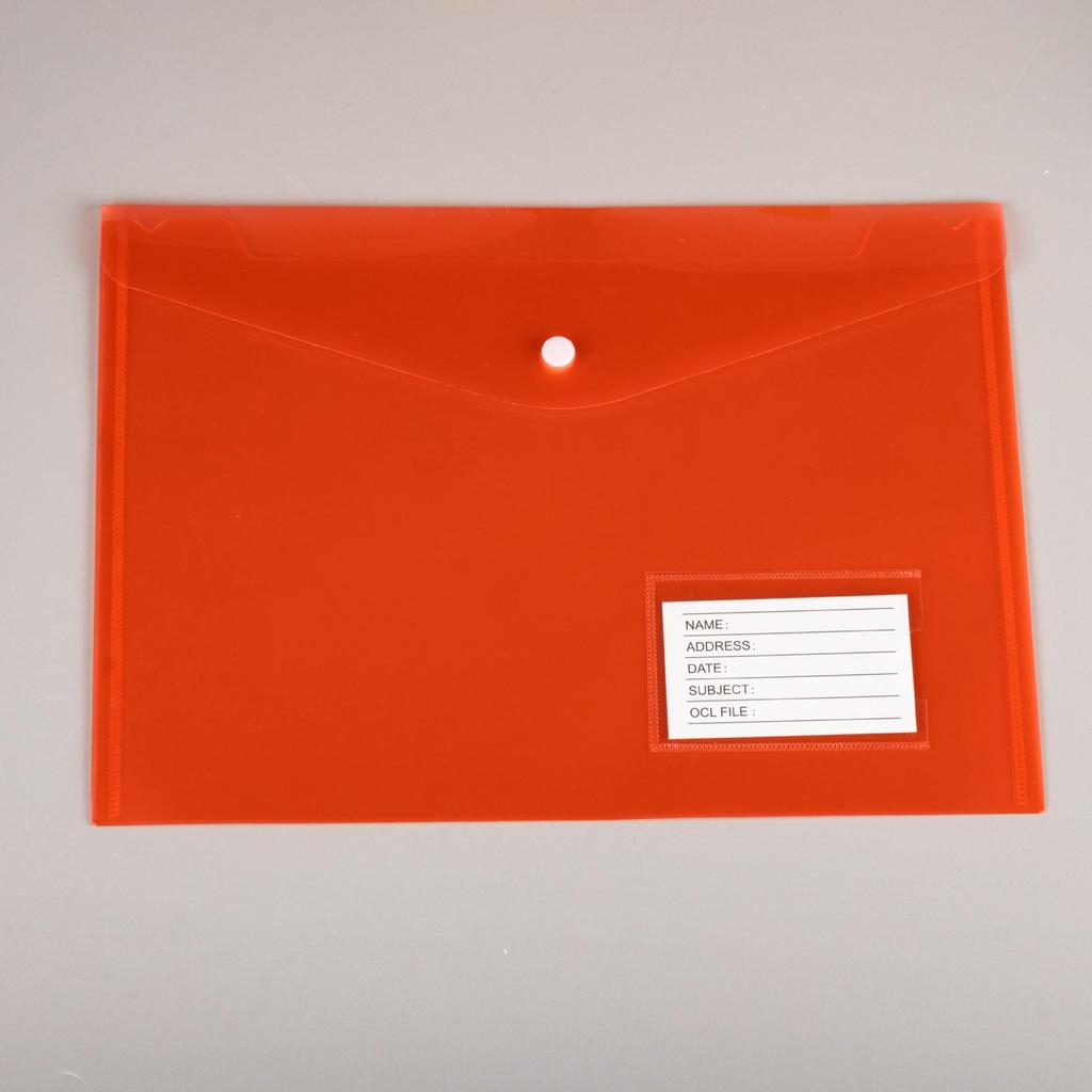 Custom Transparent File Bags with Cartoon Design and Snap Button Closure - A4 & A5 Sizes