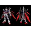 HG Destiny Gundam Spec II Final Battle Color 1/144 Scale Model Kit
