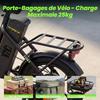 Vélo Électrique Pliable 16"-Moteur 250W-Batterie 36V 10.4Ah-3 Vitesses-Charge 120 kg-Autonomie 56 km-Angle d'escalade 15%-Noir