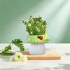 Exquisite Mushroom Vase Modern Hydroponic Flower Holder Cute Hydroponic Plant Utensils  Office