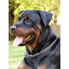 Stainless Steel P Chain Dog Collar & Leash for Large Dogs - Anti-Shock Training Pet Neck Collar