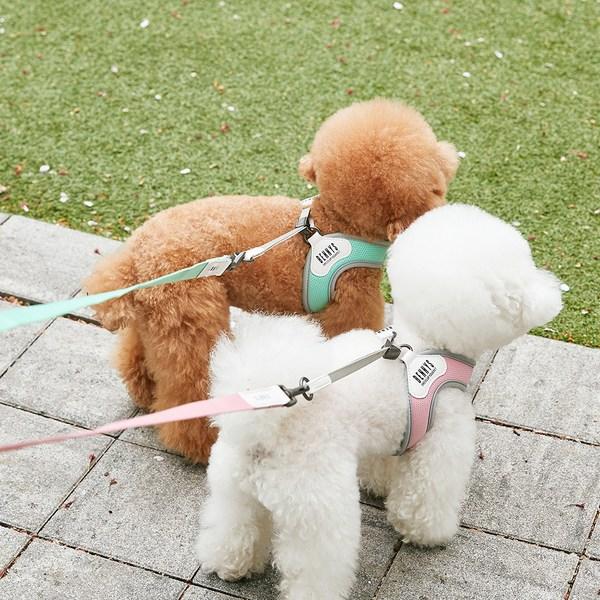 Bennys Basisgeschirr, hellrosa