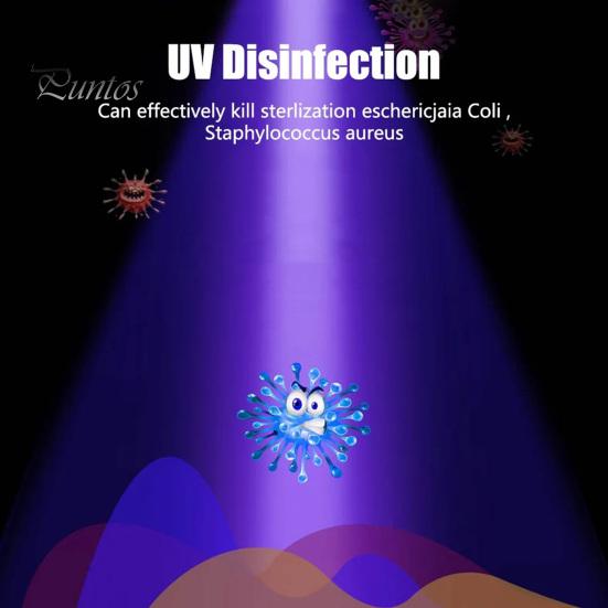 UV Flashlight 395nm Black Light USB Rechargeable Zoom Function Waterproof Portable Ultraviolet Torch Light