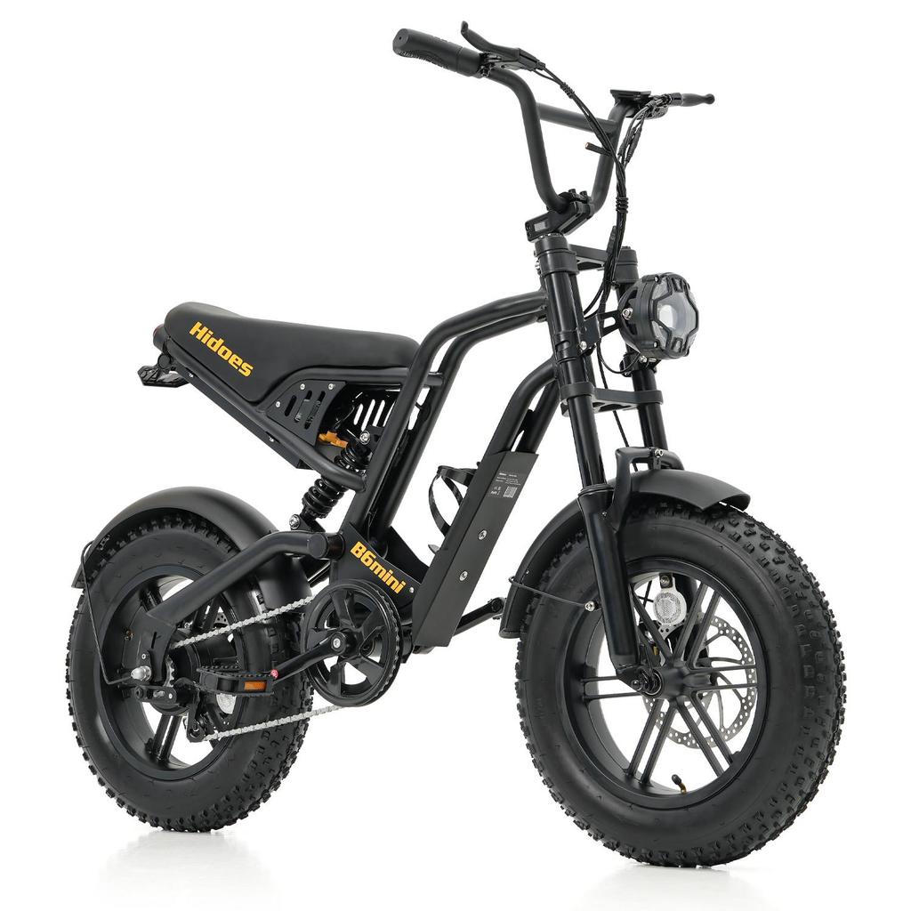 Hidoes HD-B6 Mini E-Bike con Gomme Grasse Motore 500W Batteria 48V10.4Ah Ruote Grasse Larghe da 16 Pollici Mini E-Bike Tutti i Terreni Uso Quotidiano All'Aperto