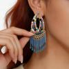 Silver Needle Ethnic Rhinestone Tassel Light Luxury Stud Earrings - Unique Niche Fashion Accessory