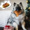 Pet Dog Roast Chicken Plush Squeaky Stuffed Toys Chew-resistant Chew Toy Teeth Cleaning Toy Pet