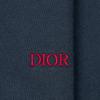 DIOR Quarterly New Products Sweatshirts Men's Blue Hooded Moderate Regular 213J644A0531-C585