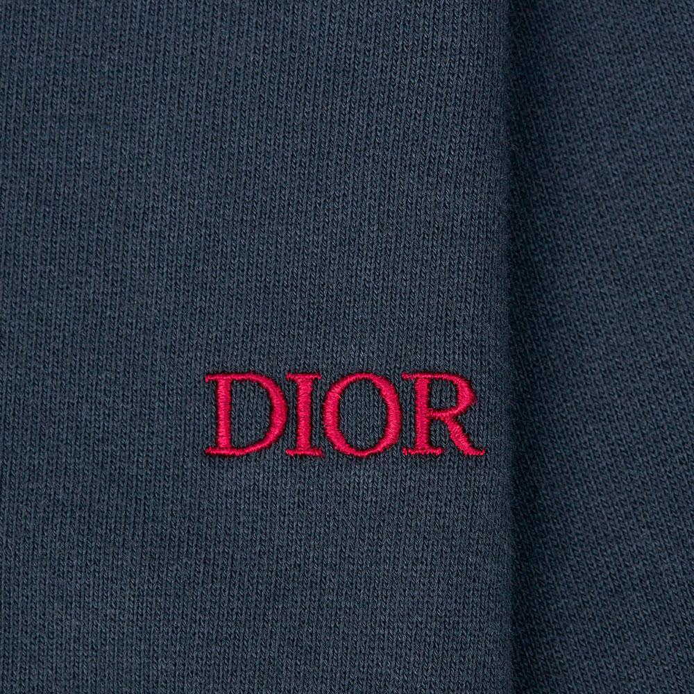 DIOR Quarterly New Products Sweatshirts Men's Blue Hooded Moderate Regular 213J644A0531-C585