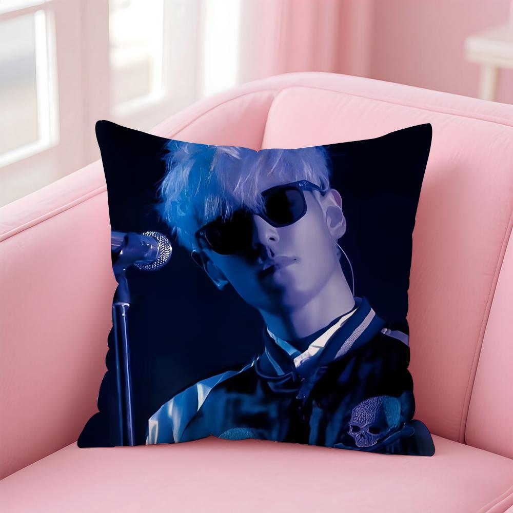 Singer T.O.P Cushion Cover Home & Car Multi-Scene Pillow Cover - Reversible, Soft & Durable for Daily Use