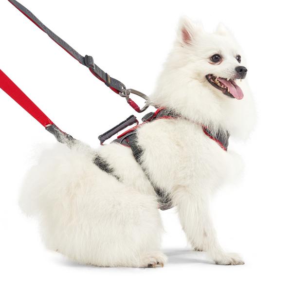 Interlaken Earthtech Slim 3.0 Dog Harness, Dark Gray + Red