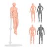 Figure Model PVC Action Figure Drawing Model Movable Joint Pedestal Support Artist Draw Painting Mod