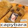 Orange Plush Capybara Card Case Animal Toy Student Id Storage Kid Birthday Gift