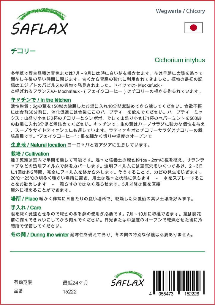 SAFLAX Garden In the Bag - Chicory  - 250 Seeds - With Substrate In a Fitting Stand Up Bag - Cichorium Intybus