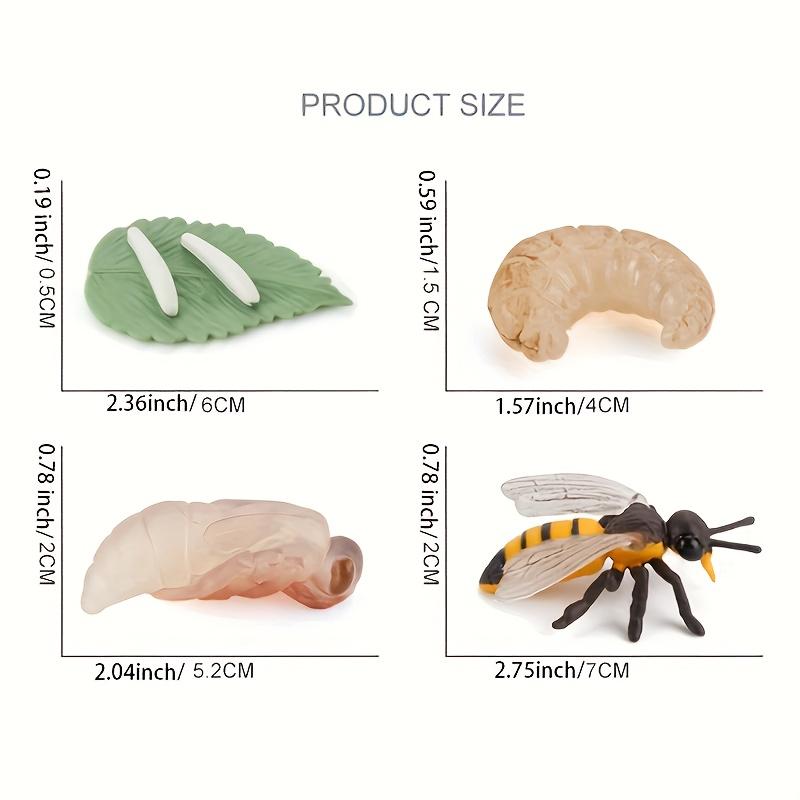 Simulation Animal Model Insect Growth Cycle Model Set, Suitable For Home Decoration, Desktop Ornaments, Children'S Cognition