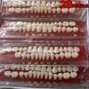 28pcs Multicolored Resin Teeth Set for Dental Practice - Realistic False Teeth Models with Shade Guide, Durable Polypropylene Material