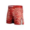 ANOTHERBOXER MMA & Trainingsshorts