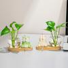 Mini Plant Propagation Station, Hydroponic Glass Vase with Cute Animals Figurine, Home Office Desks Aesthetic Decorations, Gift for Women Plant