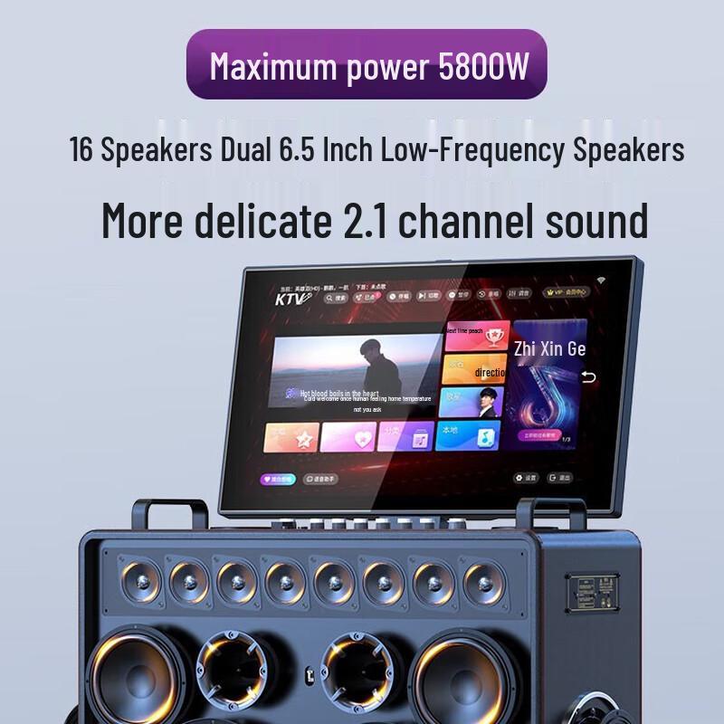 SANSUI C3 All-in-One Professional KTV Karaoke Speaker System