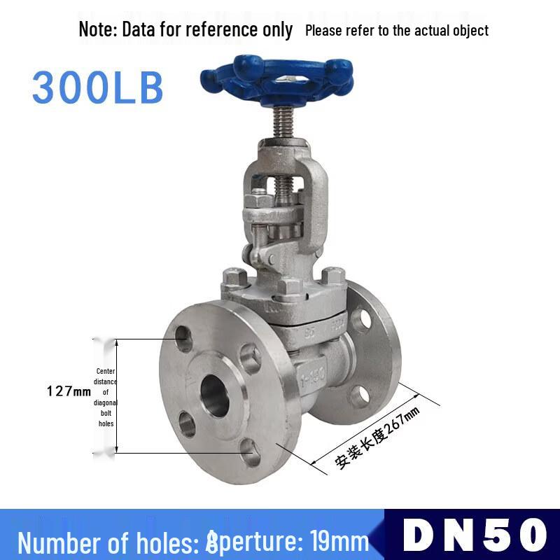 

Yun Duo Forged Stainless Steel Flange Globe Valve