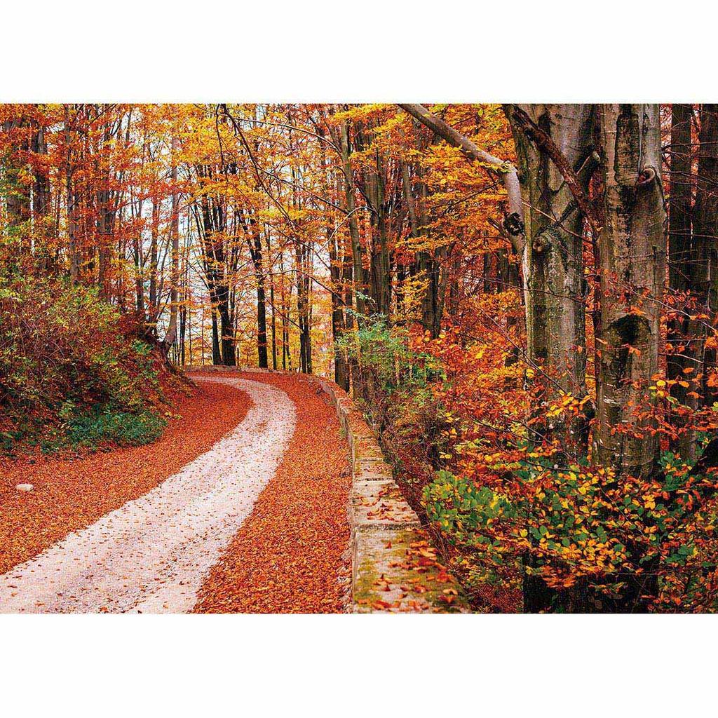 Autumn Tree Forest Trail Photography Background For Photo Studio Props Children Baby Cloth Computer Printed Backdrops Photocall
