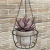 Iron Hanging Planter Hanger Round Plant Hanger Pot Tray Rope Hanger Flower Pot  Balcony