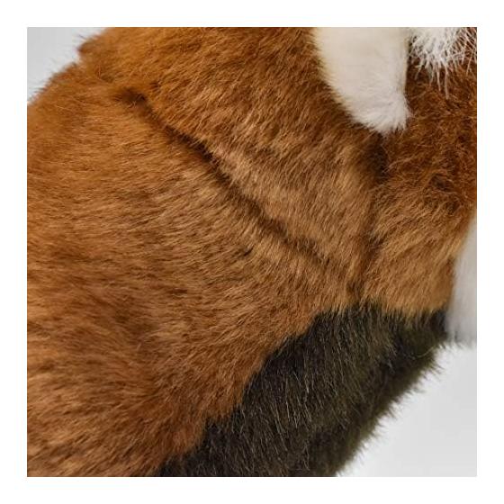 Red Panda 67 No.6309