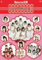

DVD - Berikoubou Single V Clips 3 Japan Japanese Pop/Rock Used
