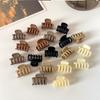10Pcs/set Small Flower Hair Claw Clips for Women Girls Matte Rectange Jaw Clips Semicircle Barrettes for Thin Hair