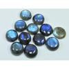 13X13MM Natural Labradorite Blue  Round Cabochon Loose Gemstone 12Pcs Lot C-1028